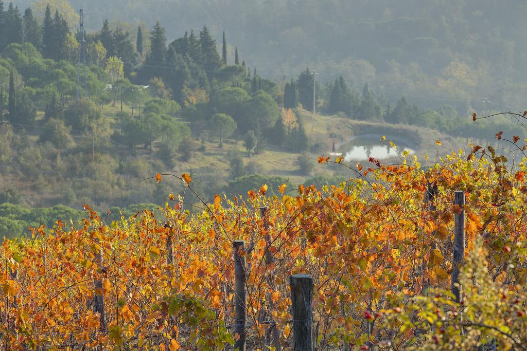 סטרדה Agriturismo La Presura מראה חיצוני תמונה