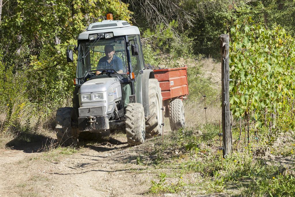 סטרדה Agriturismo La Presura מראה חיצוני תמונה