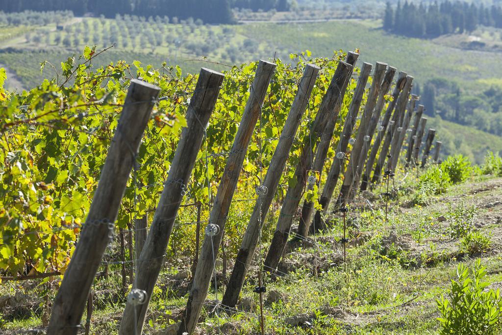סטרדה Agriturismo La Presura מראה חיצוני תמונה